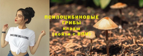 экстази Арсеньев