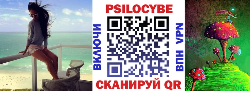 где купить   Холмск  Галлюциногенные грибы MAGIC MUSHROOMS 